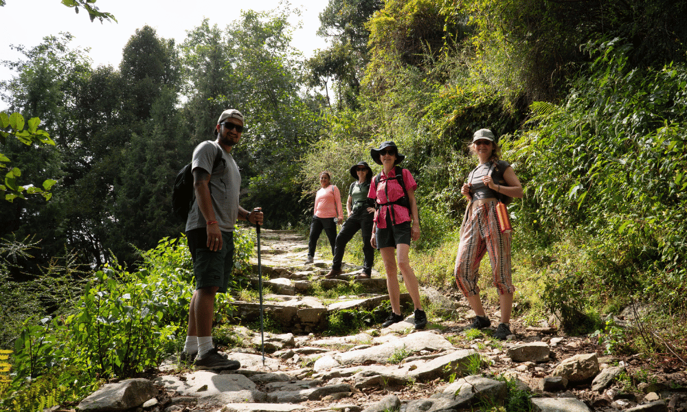 Yoga Students Trekking through Ancient Himalayan Forest Trail on 5-Day Sacred Mountain Pilgrimage